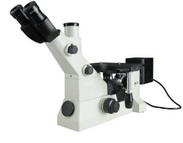 invert microscope
